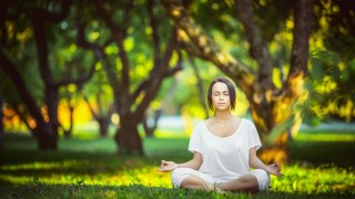 欧洲杯游戏现场？欧洲杯 游戏？